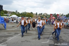 démo-vallon-2019-avec-les-copains-2