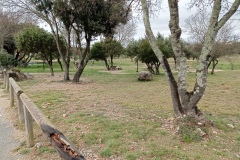 Lieu-de-pique-nique