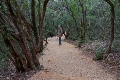 descente-chemin-de-la-salamandre