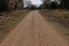 premiere-partie-du-chemin-ver-Peyre-Haute